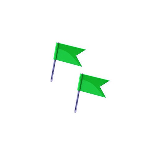 Sinalizador Bandeira Verde Cx 20un