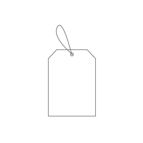 Etiqueta 28x43mm c / Fio p / Pendurar Branca Cx500 (0391)
