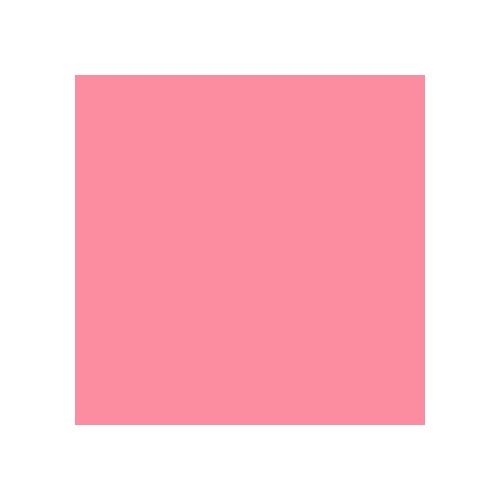 Cartolina 50x65cm Rosa Chicla 185g 1 Folha Canson - 25 unidades