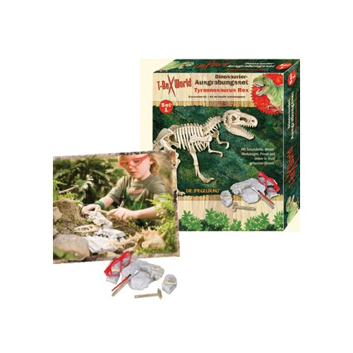 Kit de Construção Fóssil Arqueológico Dinossauros T-Rex