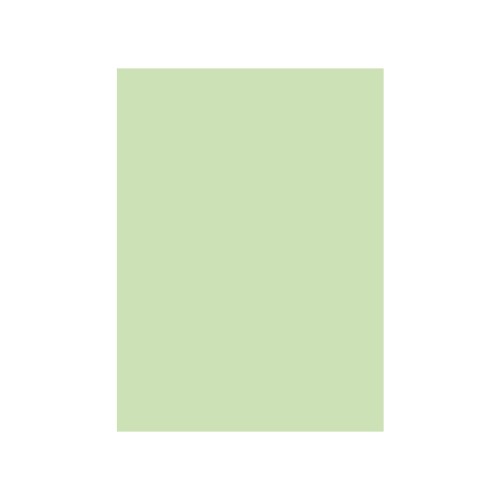 Cartolina 250g 50x65cm Verde - 5 folhas